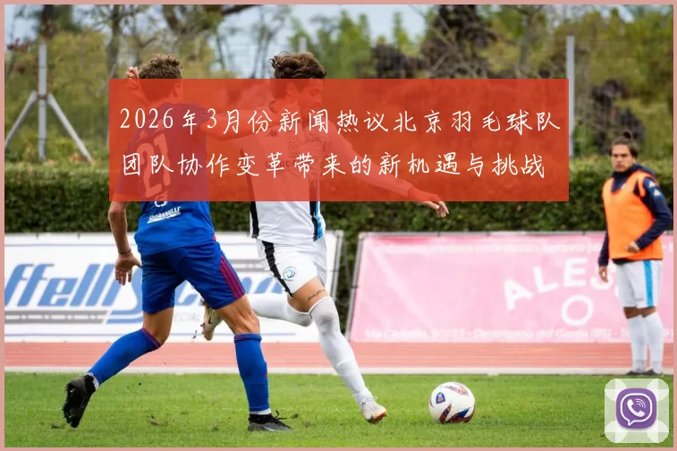 2026年3月份新闻热议北京羽毛球队团队协作变革带来的新机遇与挑战